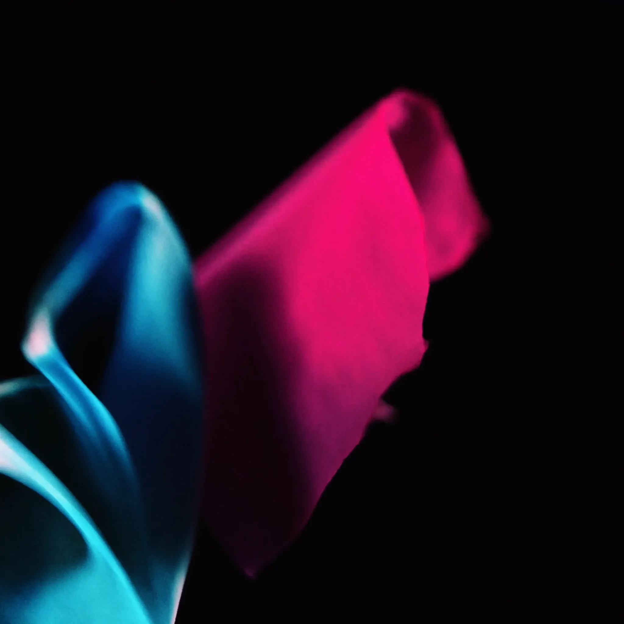 Silk fabric folding and flowing through the air in slow motion, deep magenta with cyan highlights, against pure black, nothing else in frame