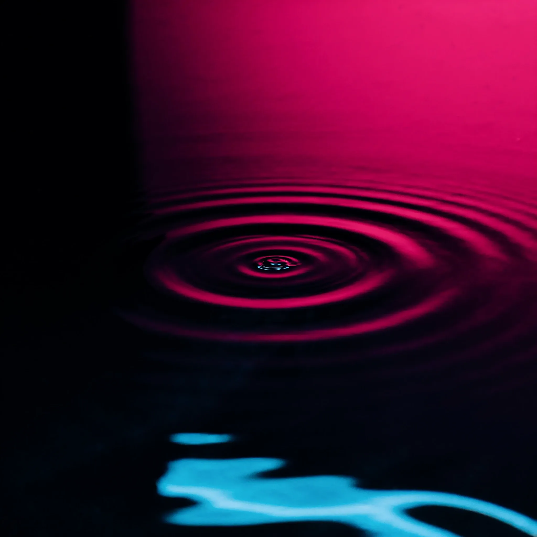 Concentric ripples spreading outward from one point on still dark water, lit pink and blue