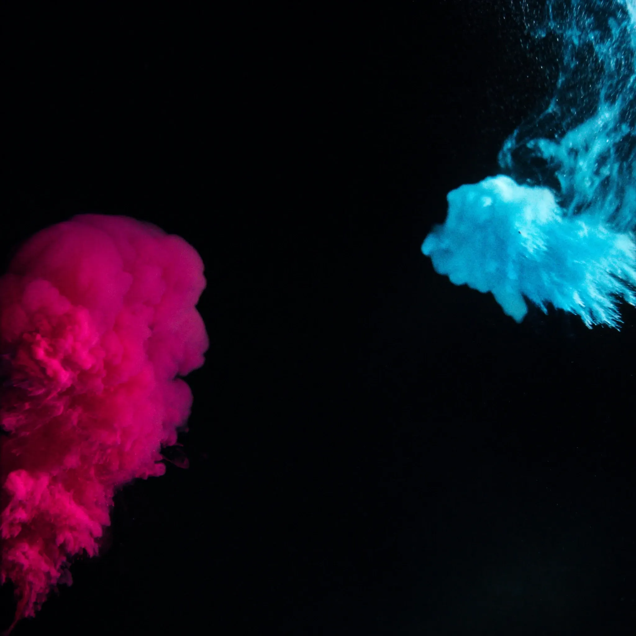 Drops of magenta and cyan ink blooming into separate, distinct clouds in clear water against black