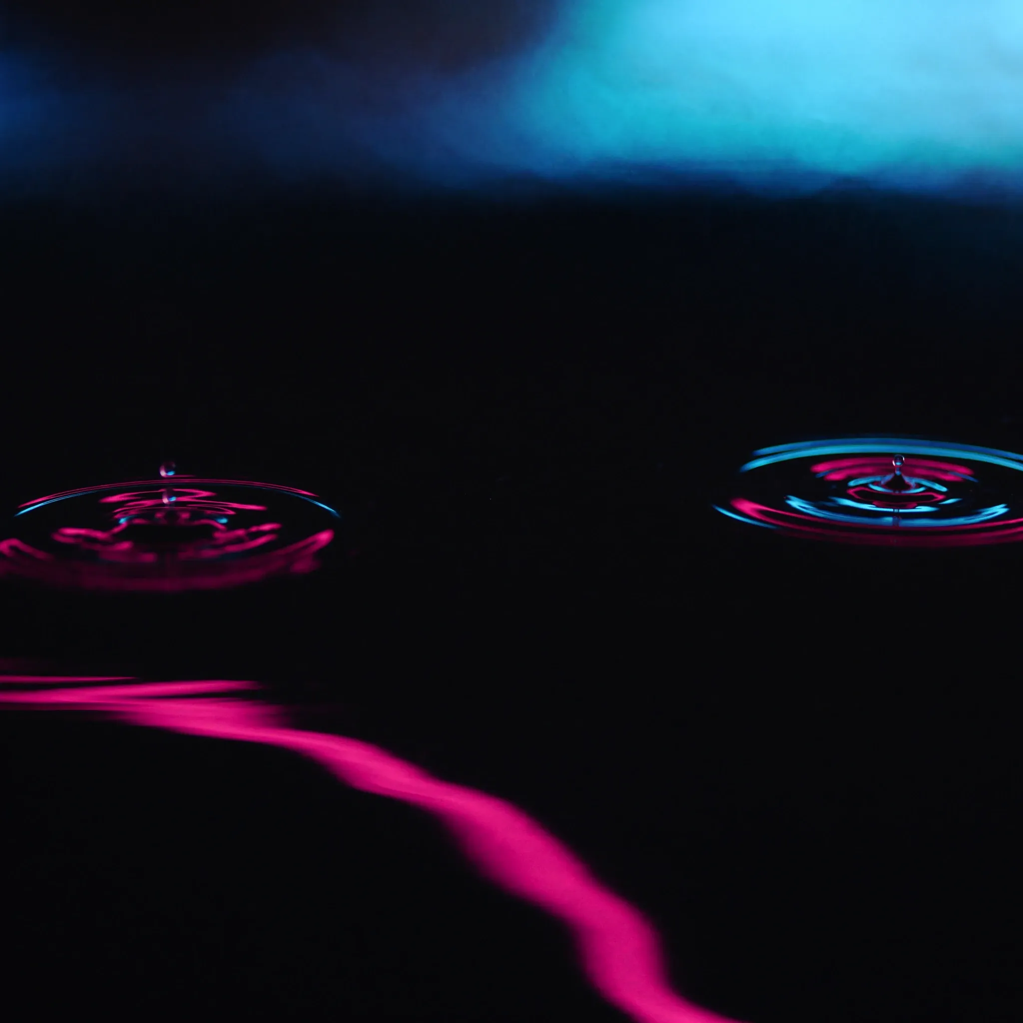 Ripples spreading across dark water from several drops at once, the overlapping rings lit pink and cyan