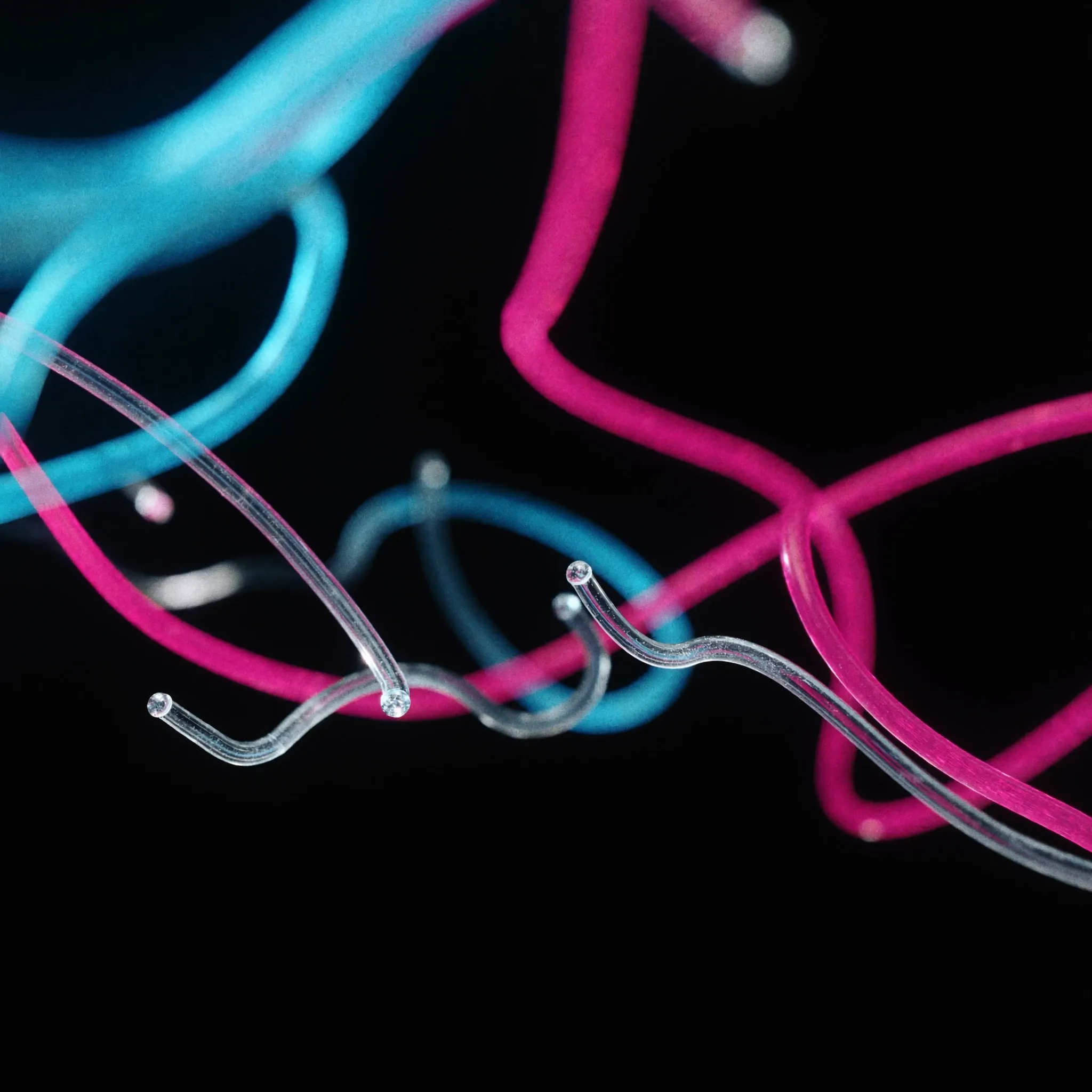 Light flowing through a branching network of clear glass tubes, pink and cyan, against black