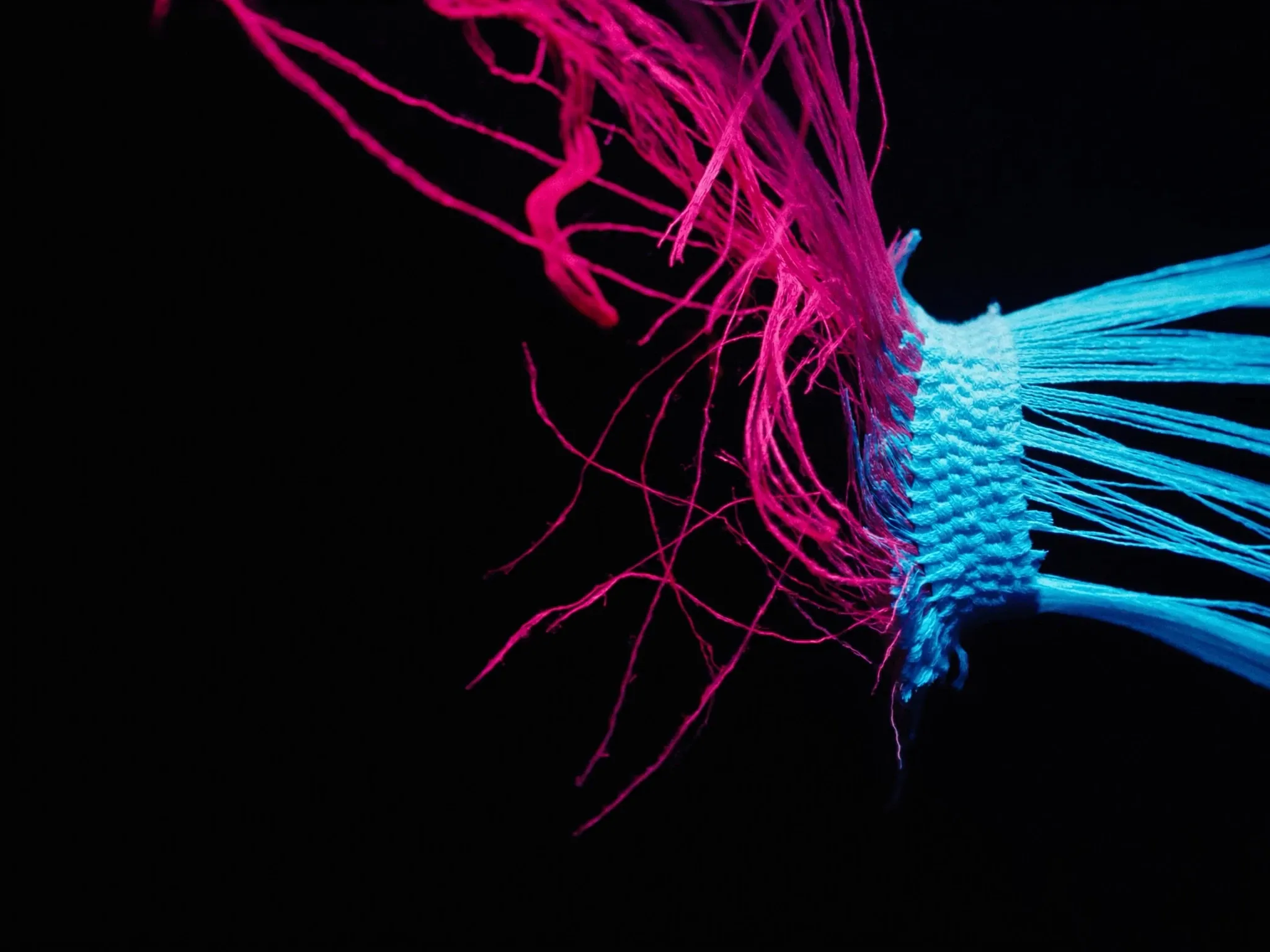 A tangle of loose threads resolving into one neatly woven band of light, macro on black