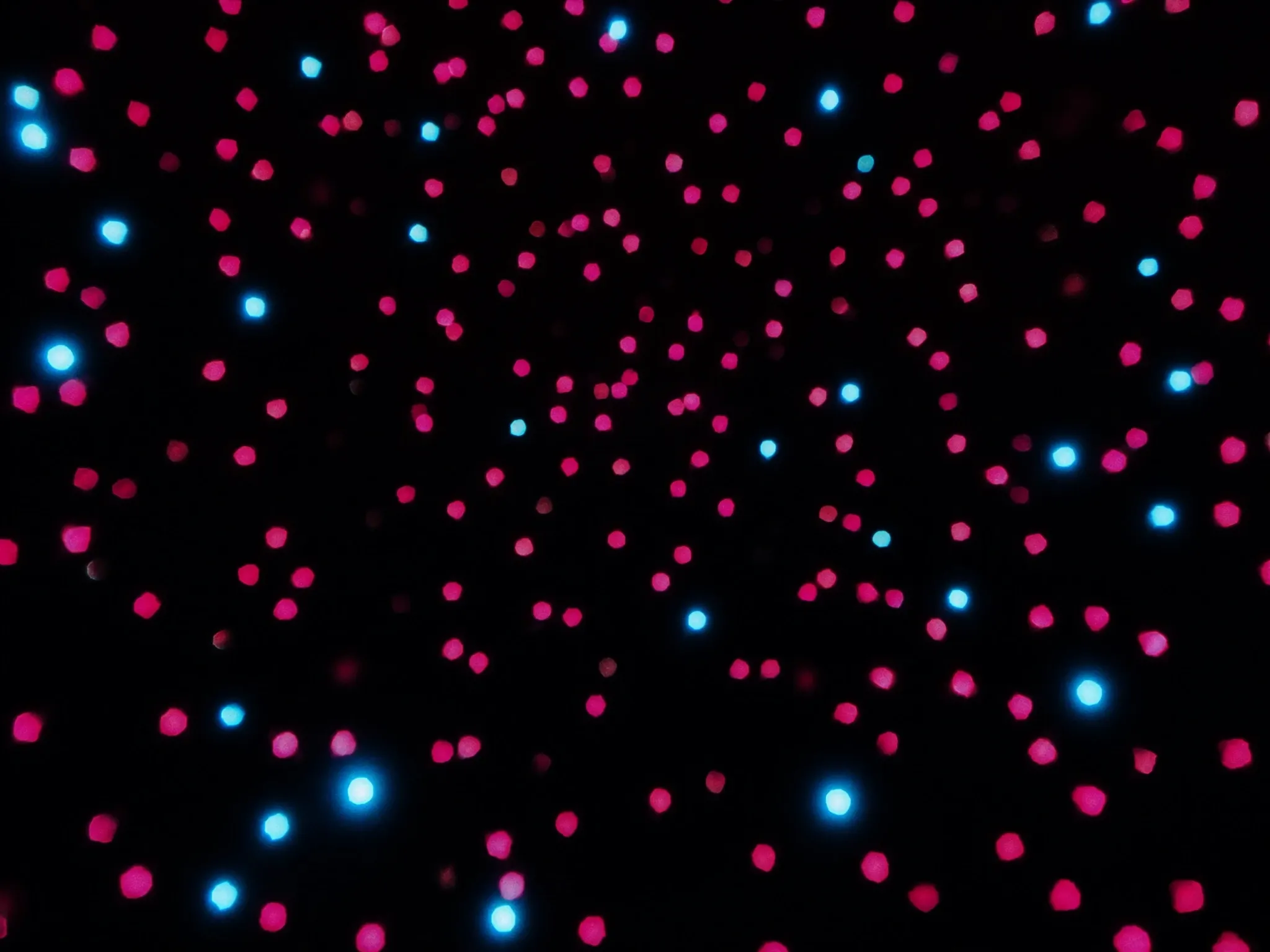 Hundreds of small glowing lights scattered at random through a dark space, no pattern to them