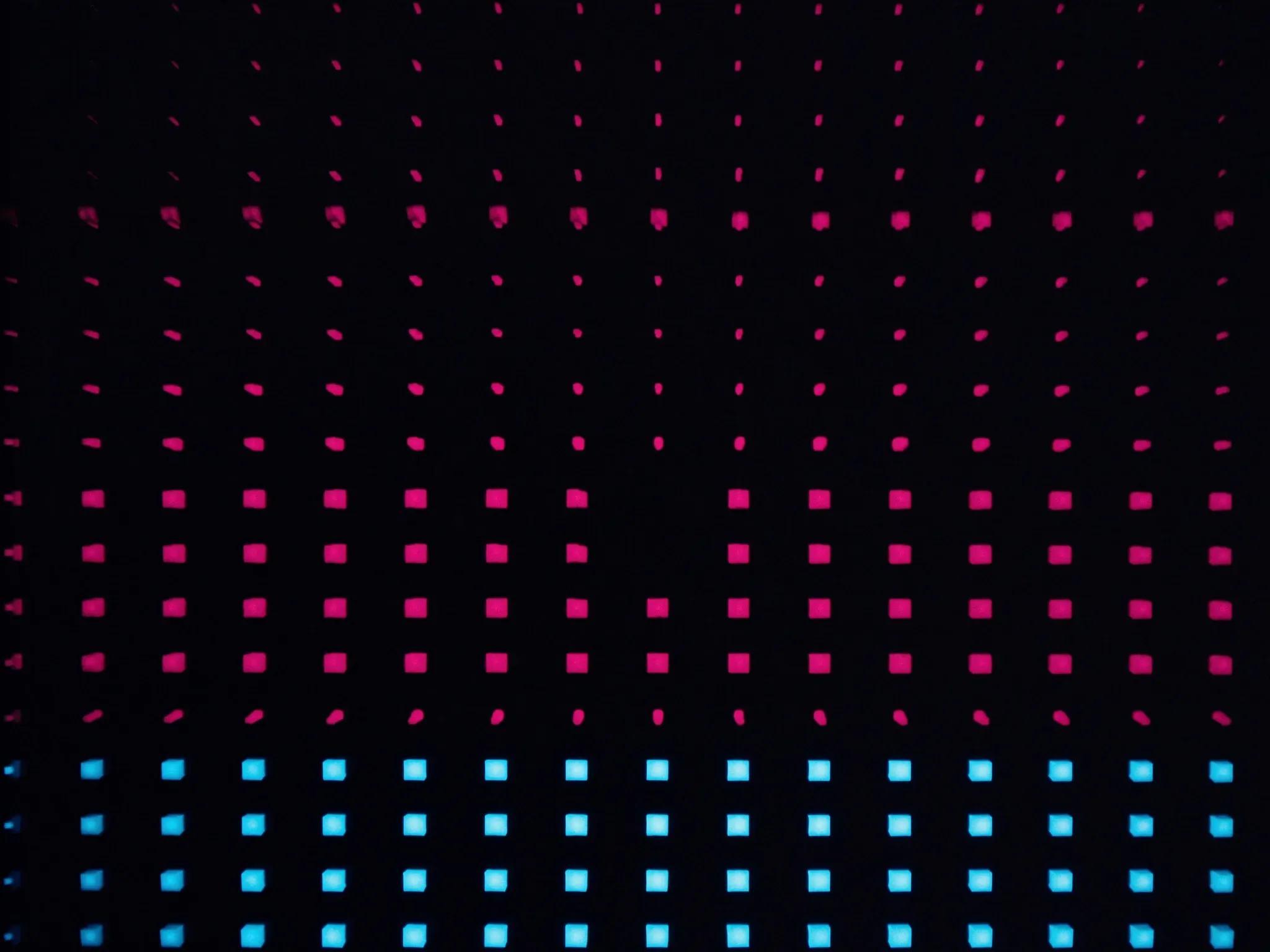 Rows of small glowing points arranged into clean, ordered columns in the dark, pink and cyan