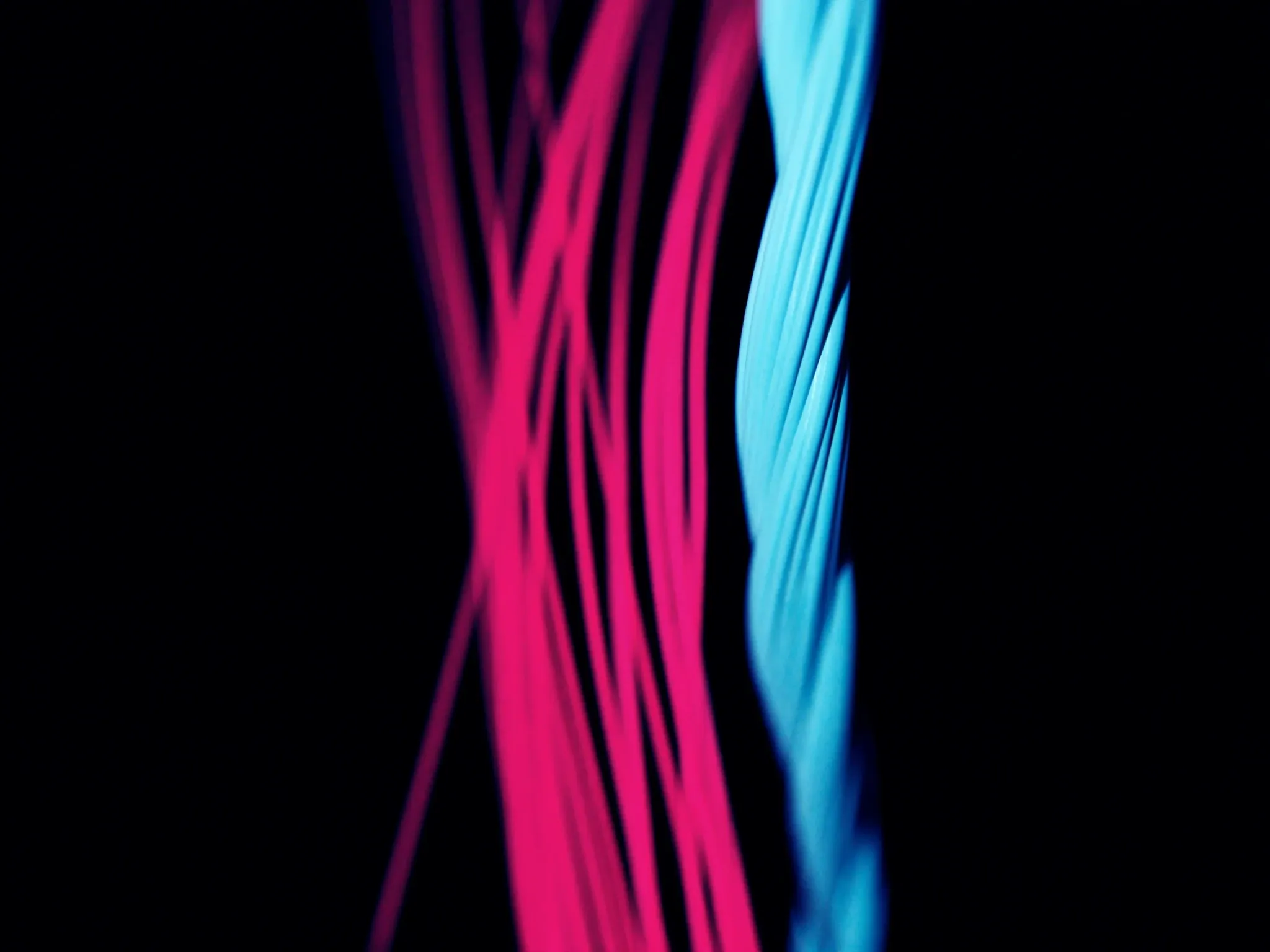 Several strands of fibre-optic light braided into one strong cable, macro, pink and cyan