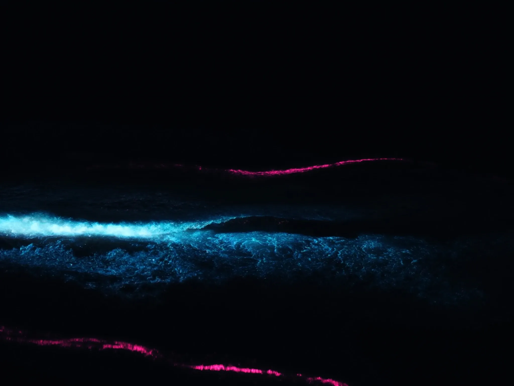 Bioluminescent waves breaking on a dark shore at night, glowing cyan, calm