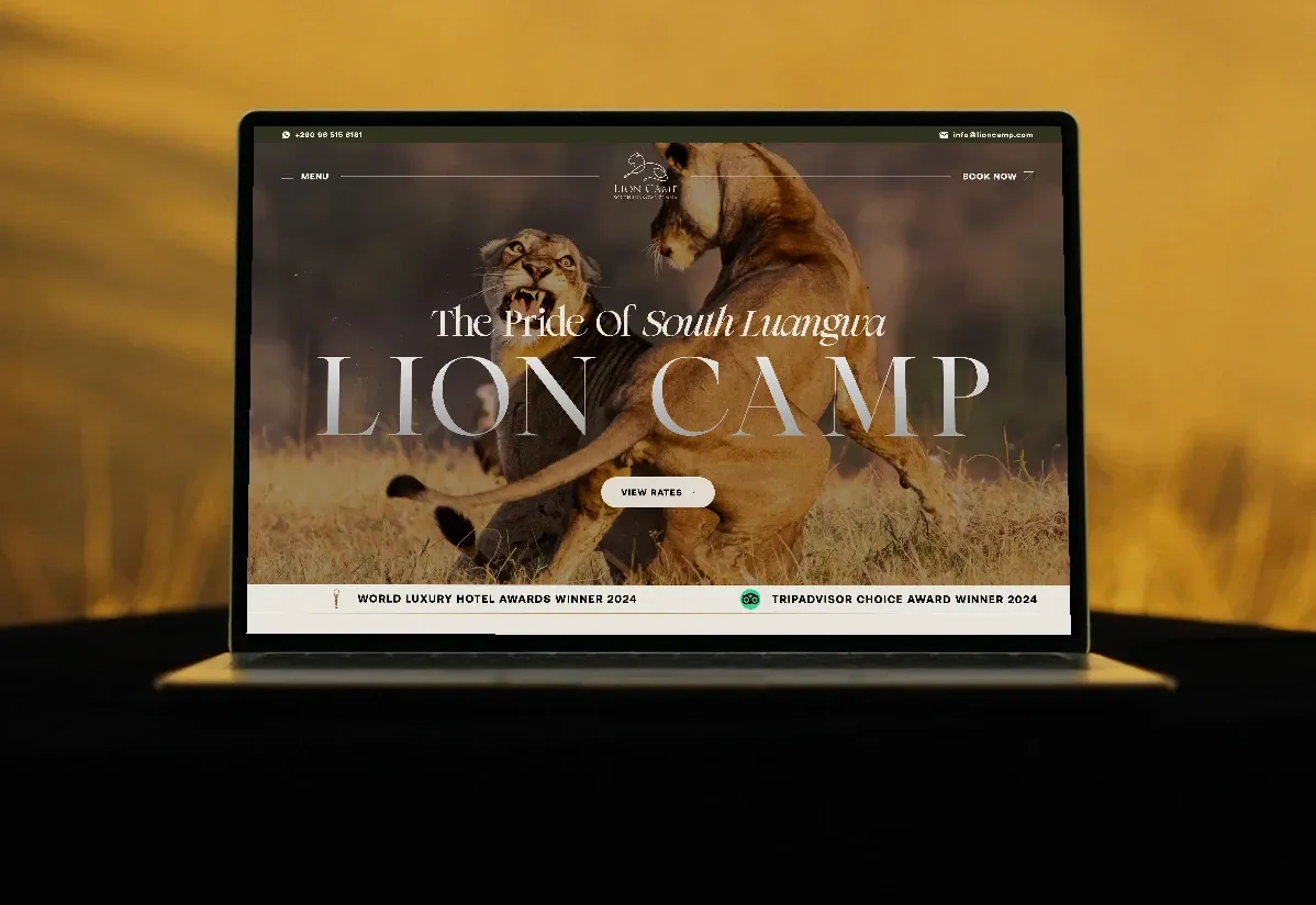 Lion Camp